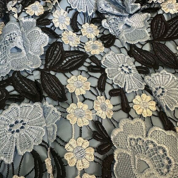 Alex Marie Lace embroidery dress - Picture 6 of 6